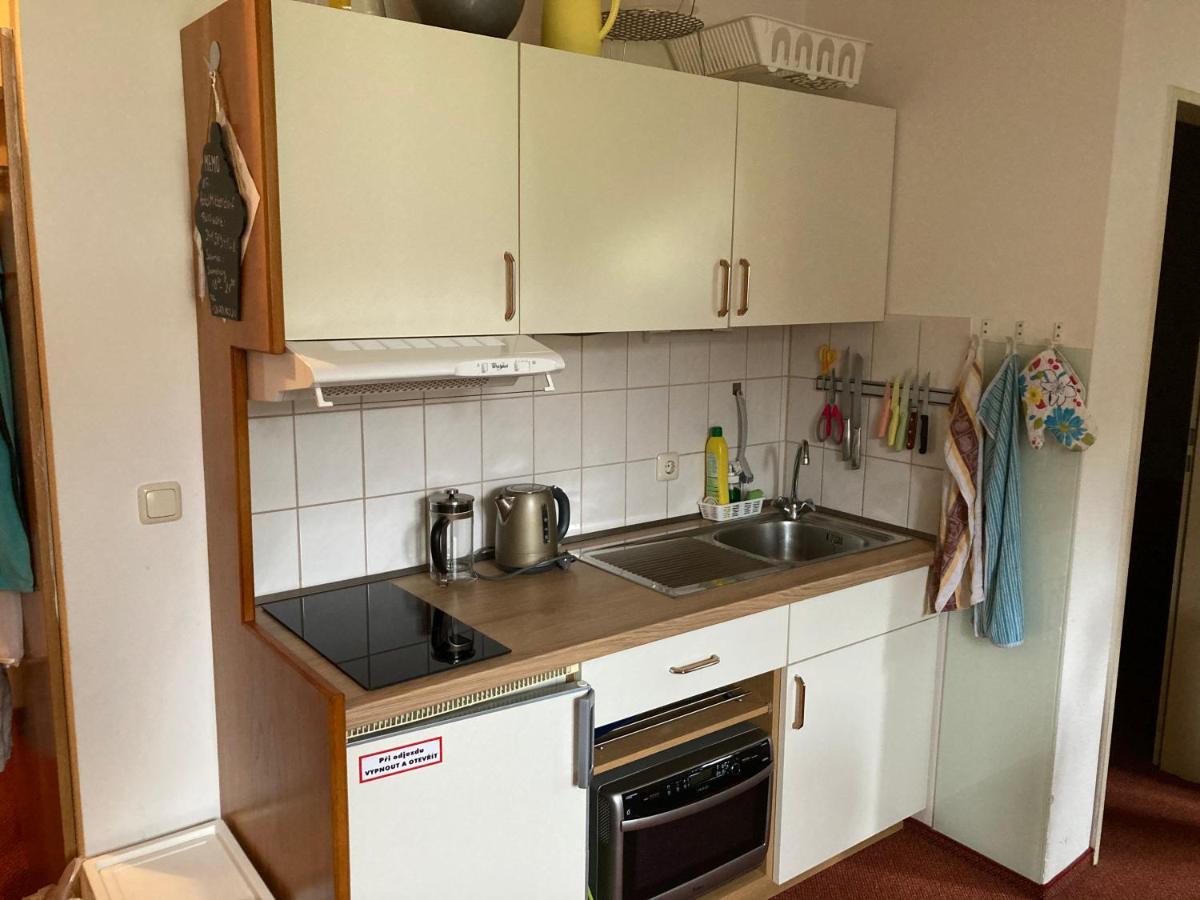Apartamento Apartmán Viki Philippsreut Exterior foto